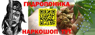 каннабис Кудрово
