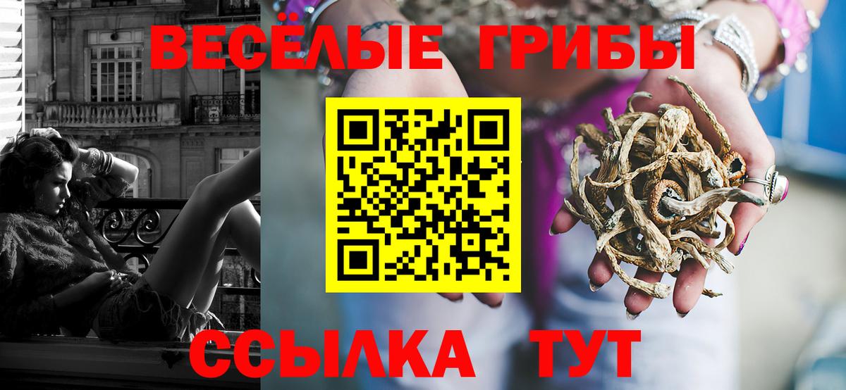 Псилоцибиновые грибы Magic Shrooms Томск